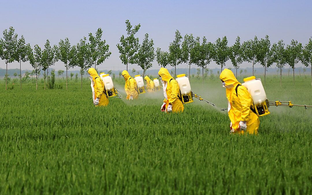 Agricultural Herbicides and Pesticides