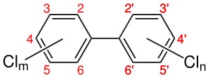 Mechanical Treatment of MSWI Fly Ash: A Way Forward to Inhibit PCB Reformation